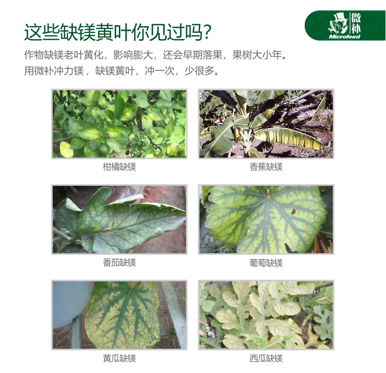 微补冲力镁