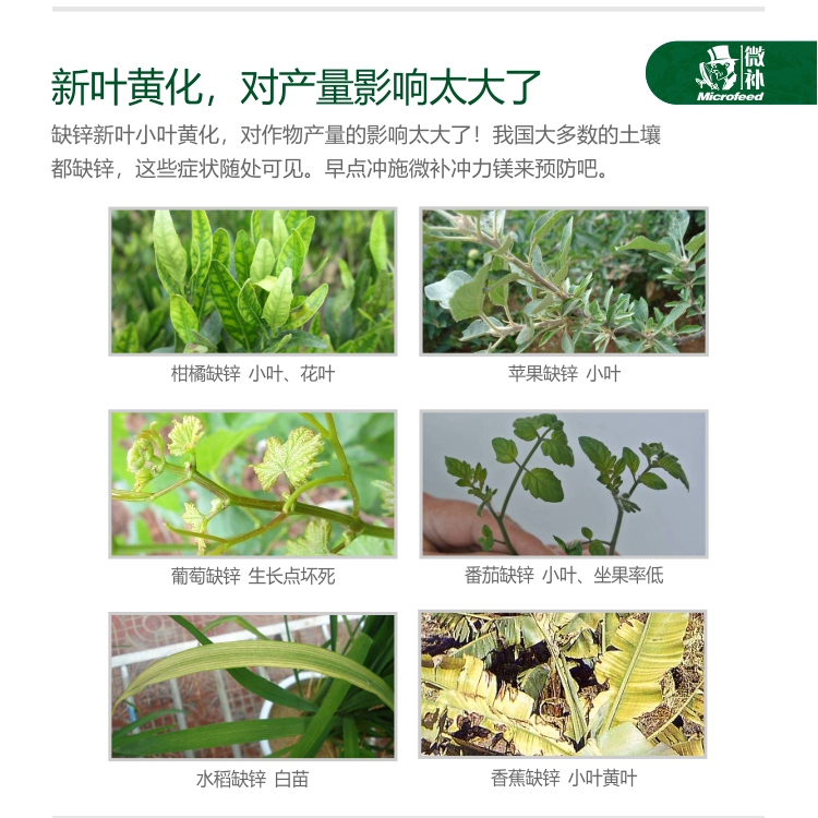 微补冲力镁