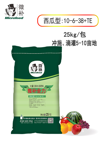 微补全力西瓜型10-6-38