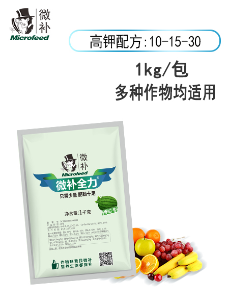 微补全力（西瓜型）