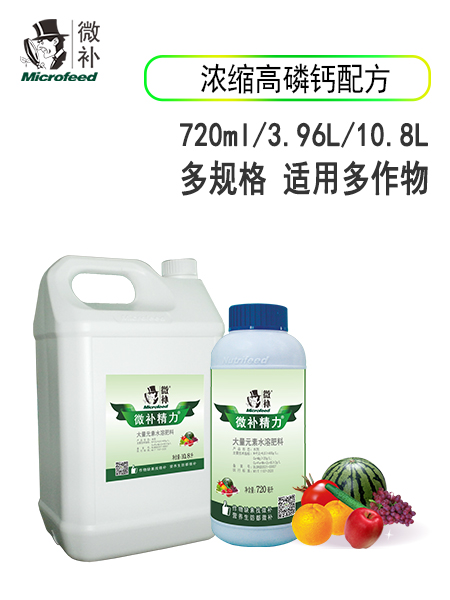 微补精力