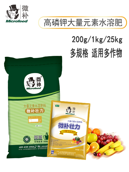 微补壮力