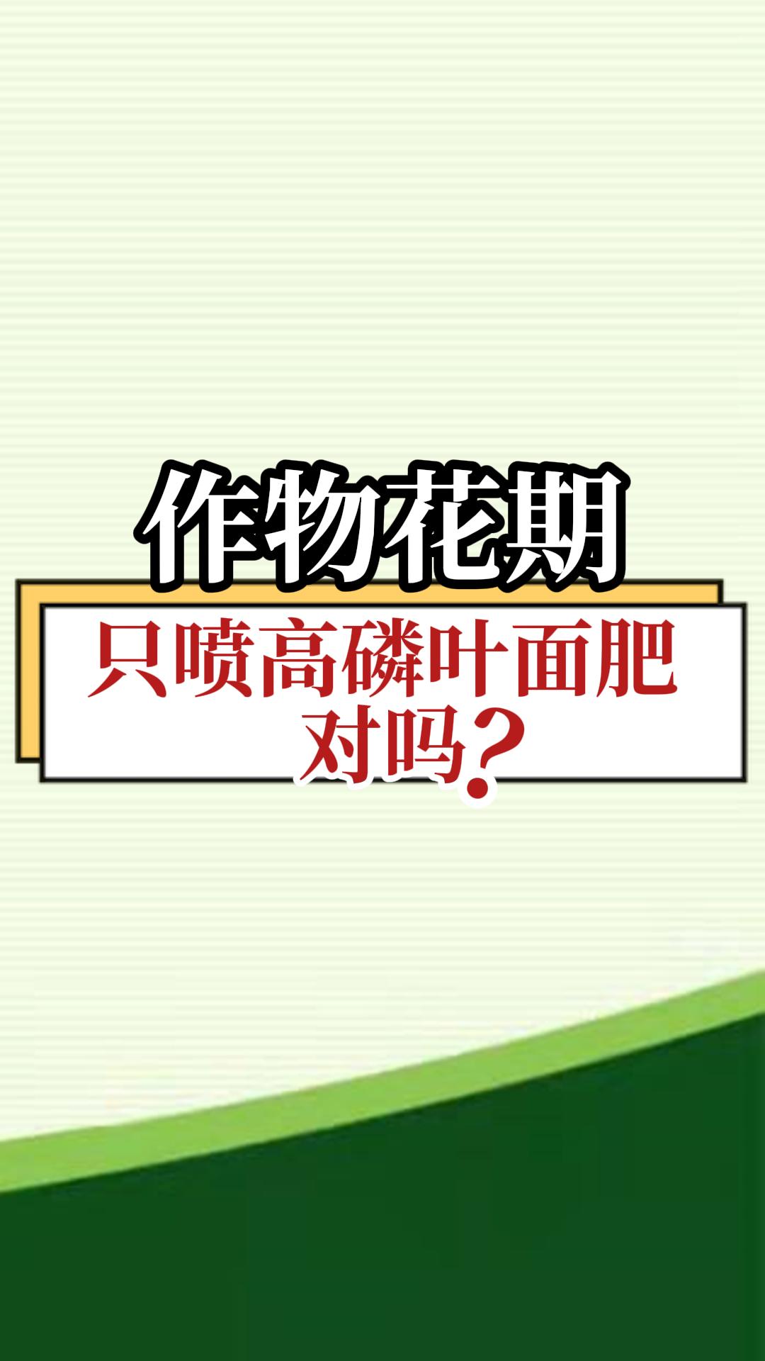作物花期只喷高磷叶面肥对吗