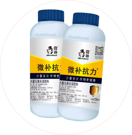 如何做好冬季清园，减少来年病虫害影响