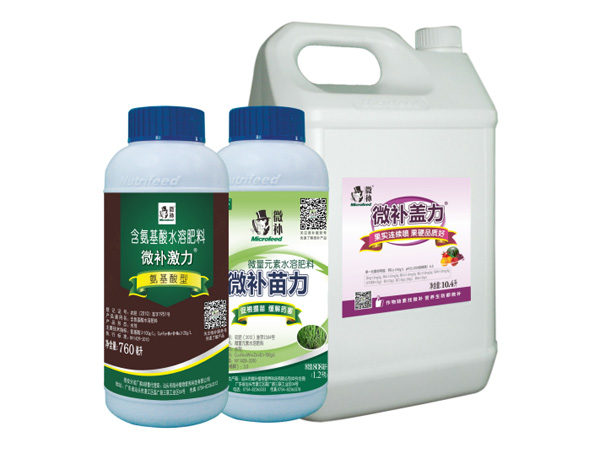 让作物安全过冬的实用小妙招，速看