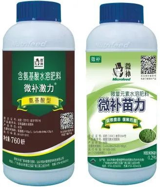 让作物安全过冬的实用小妙招，速看
