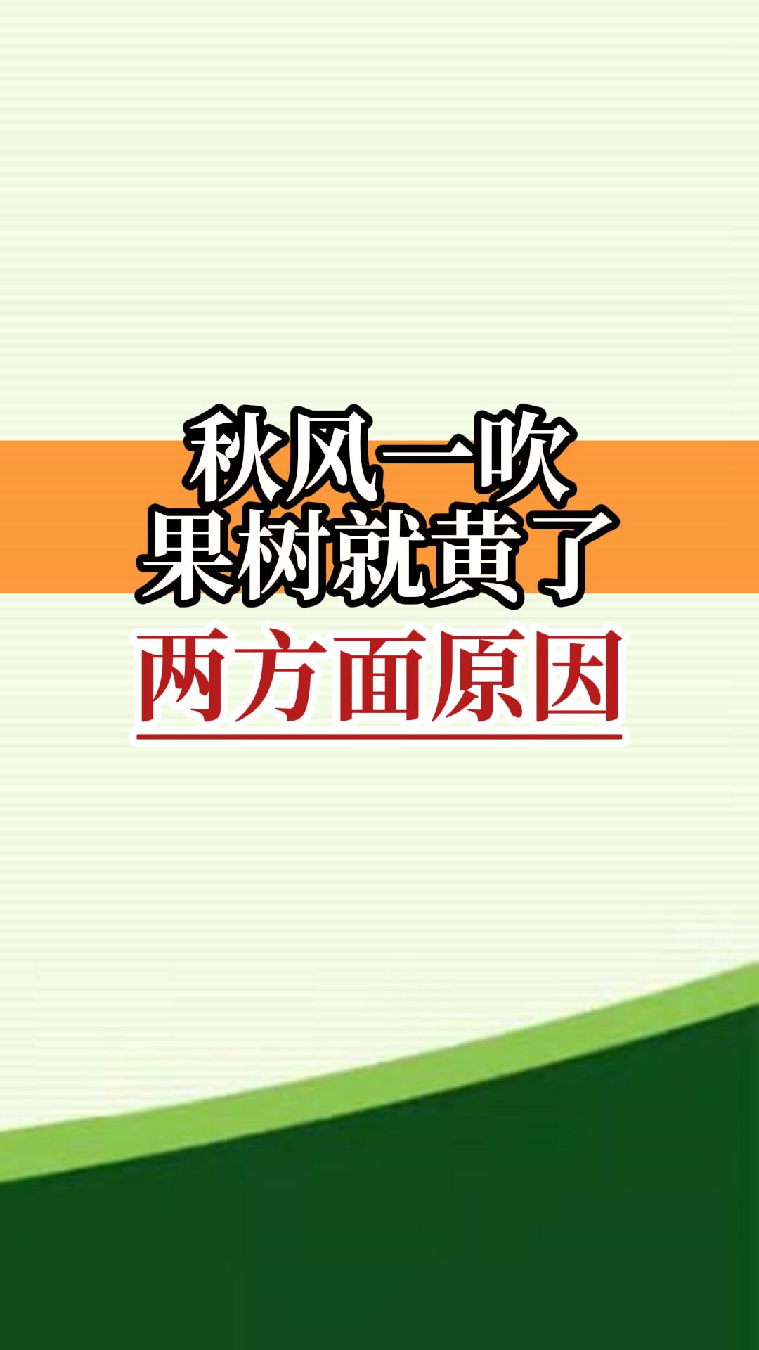 秋风一吹，果树就黄了，2个原因