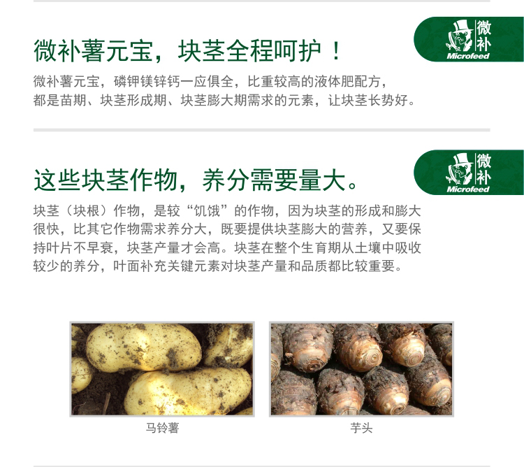 微补薯元宝