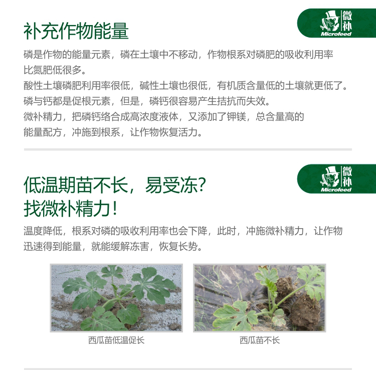 微补精力