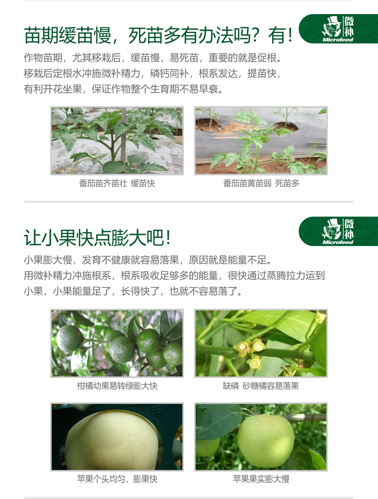微补精力