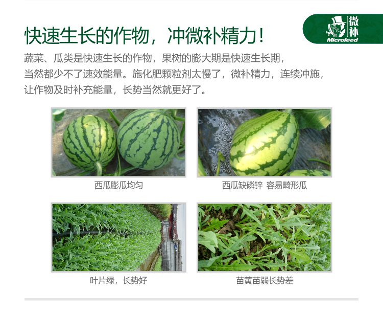 微补精力