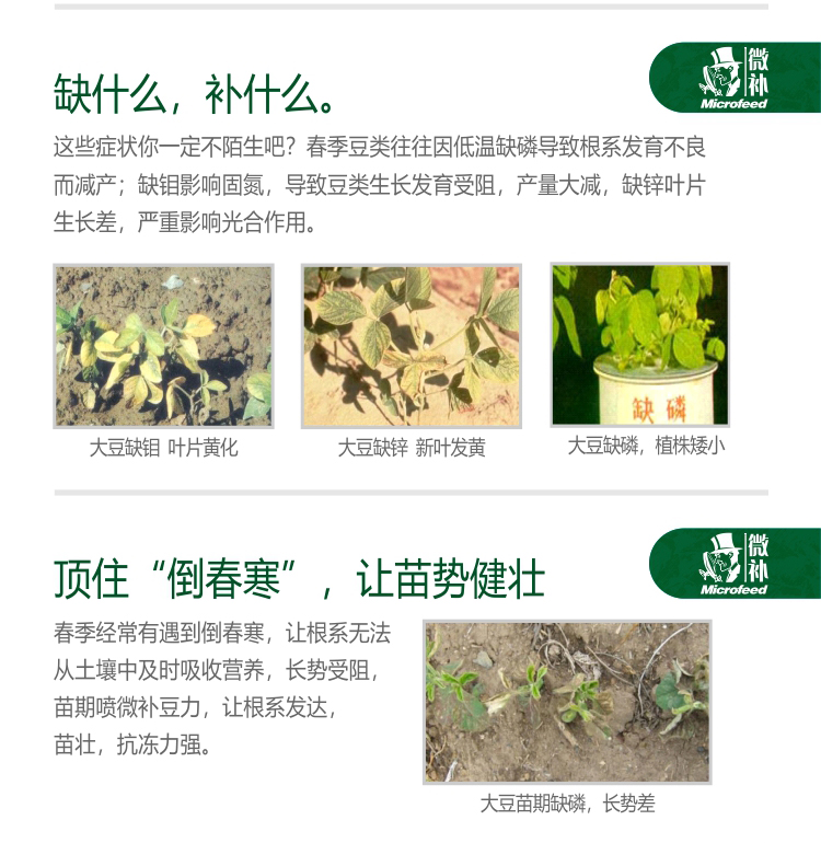 微补豆力