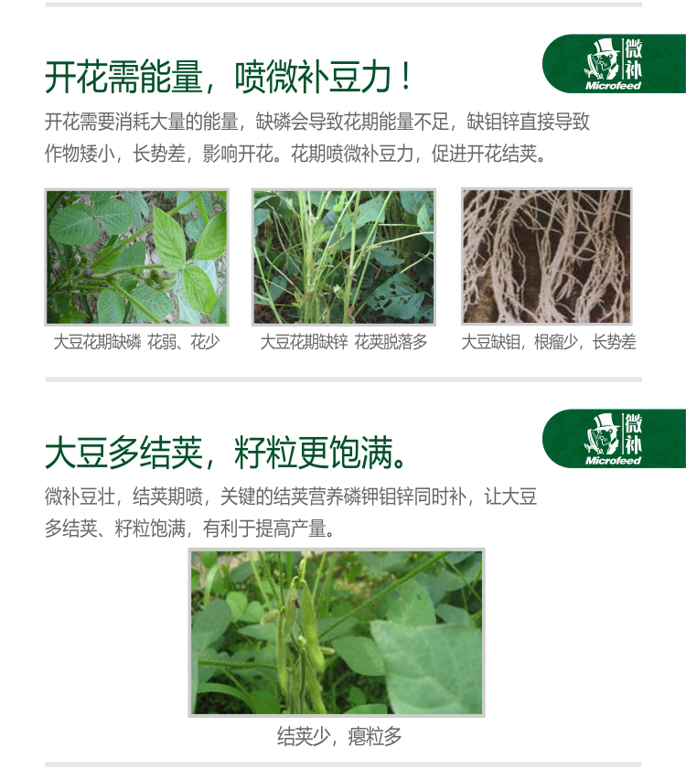 微补豆力