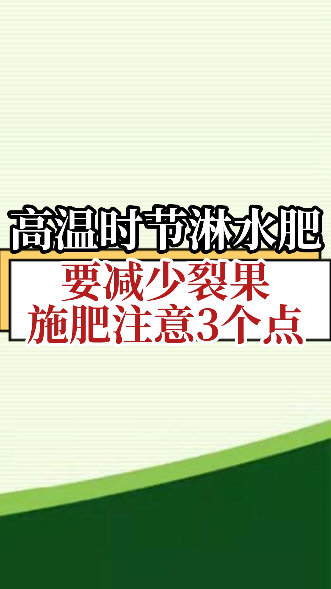 高温时节淋水肥，要减少裂果，施肥注意3个点