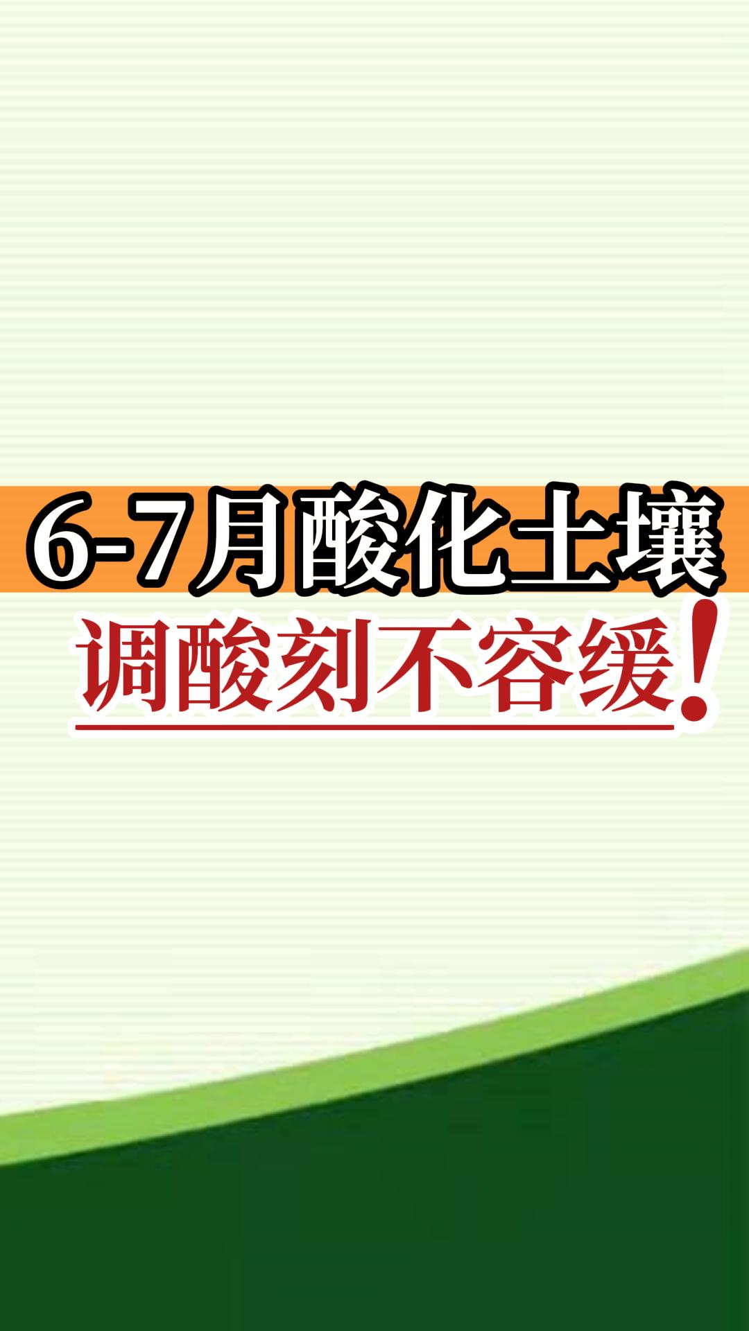 6-7月酸化土壤，调酸刻不容缓