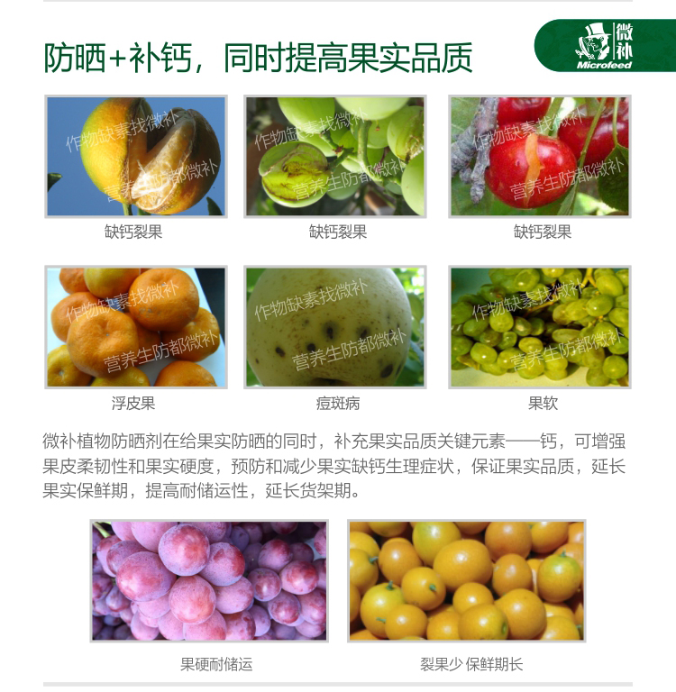 微补植物防晒剂