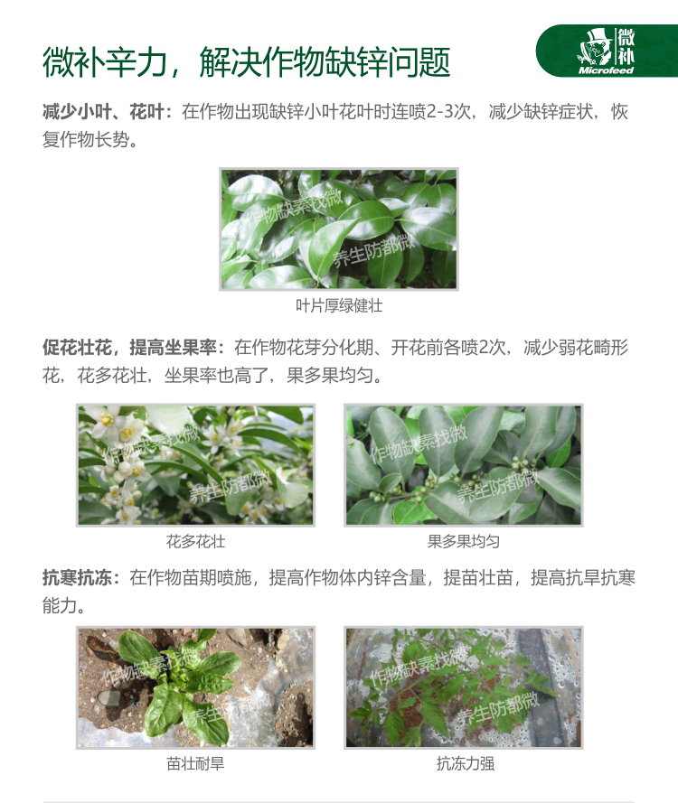 微补辛力