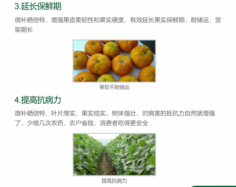 微补晒倍特