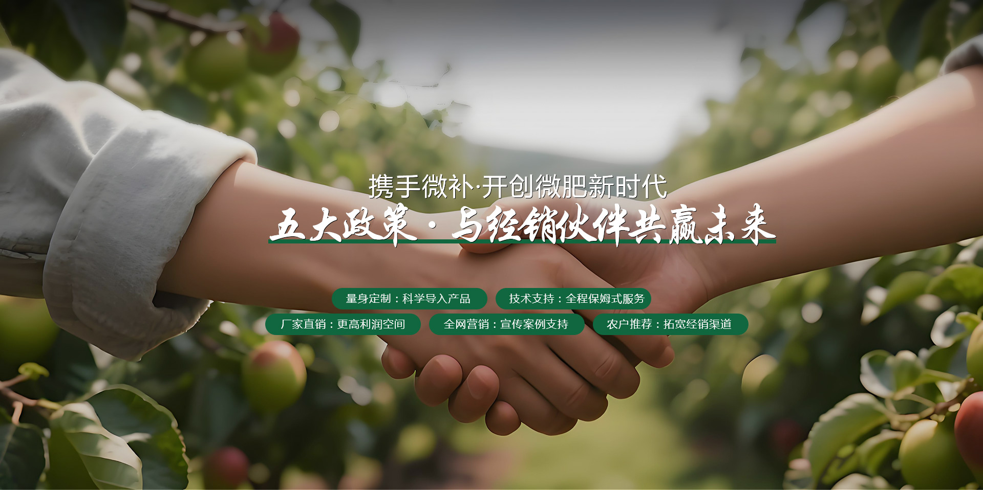 携手微补开创微肥新时代