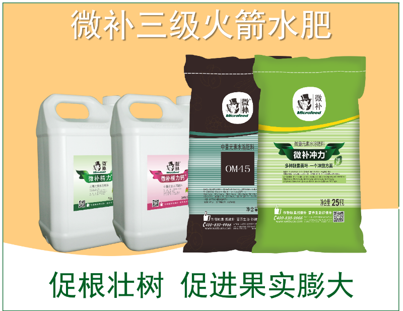 图片5