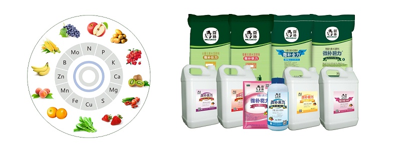 微补系列产品