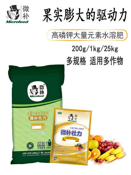 微补壮力