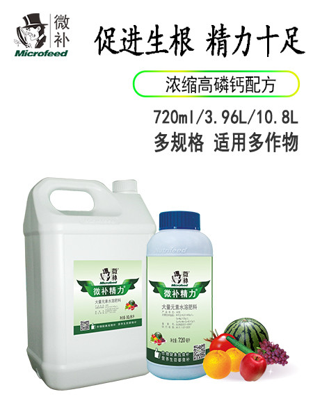 微补精力
