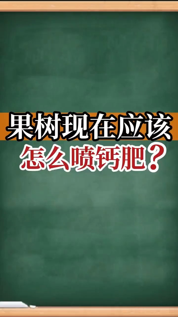 果树现在应该怎么喷钙肥？