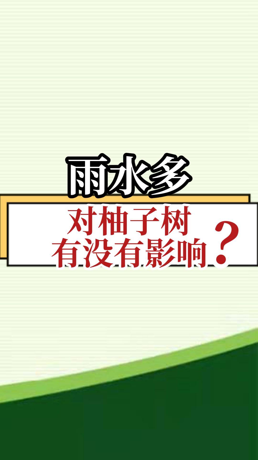 雨水多，对柚子树有没有影响？