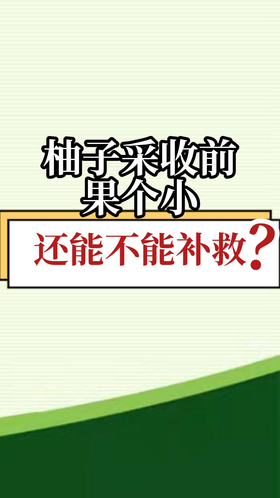 柚子采收前果个小，还能不能补救？