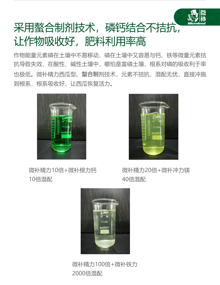 微补精力西瓜型