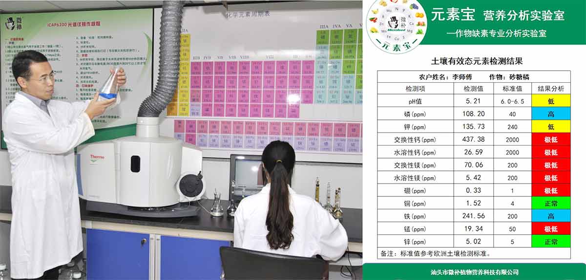微补简介