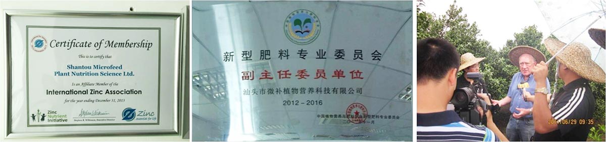 微补简介