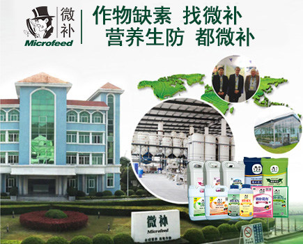 微补研发中心