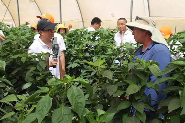 深度思考：我们到底应该向以色列农业学习什么？