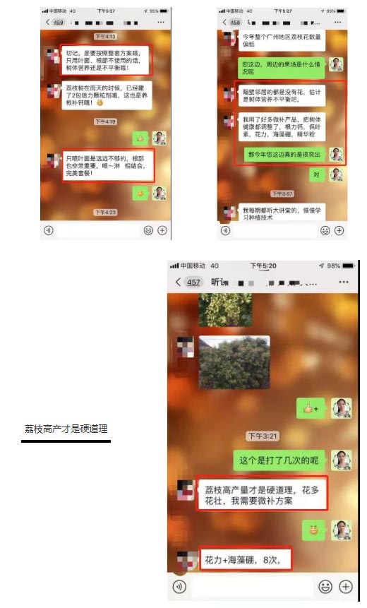 荔枝园连年高产，秘诀在这里